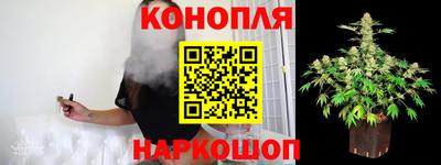 прущие грибы Наро-Фоминск