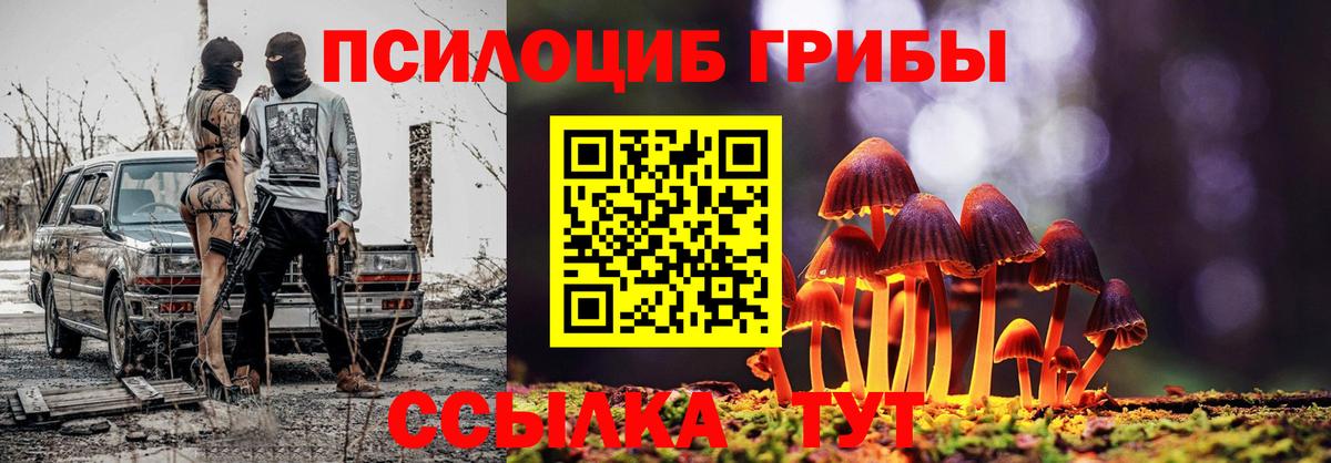 Псилоцибиновые грибы Psilocybine cubensis Троицк