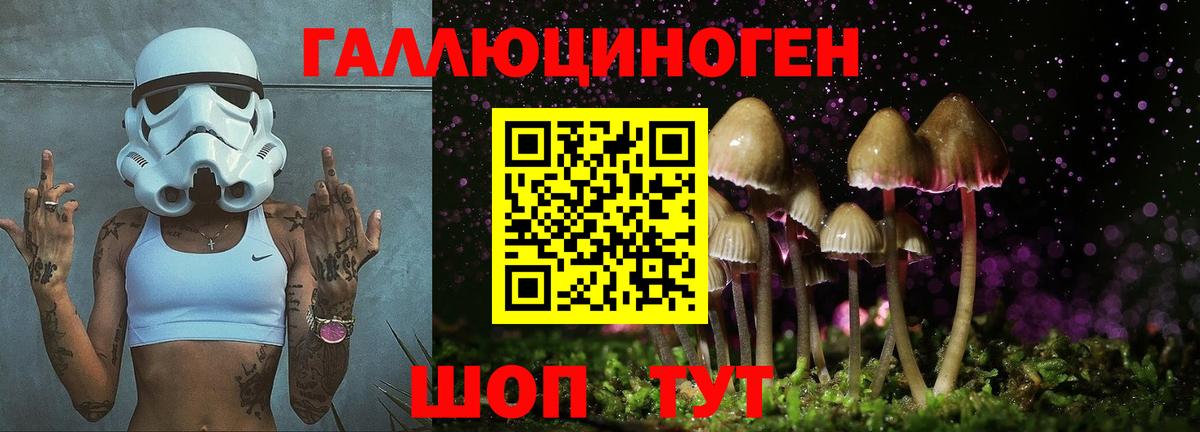 где найти   Вход с VPN  Троицк  Псилоцибиновые грибы Psilocybe 